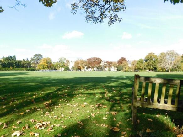 Cricket Walks
