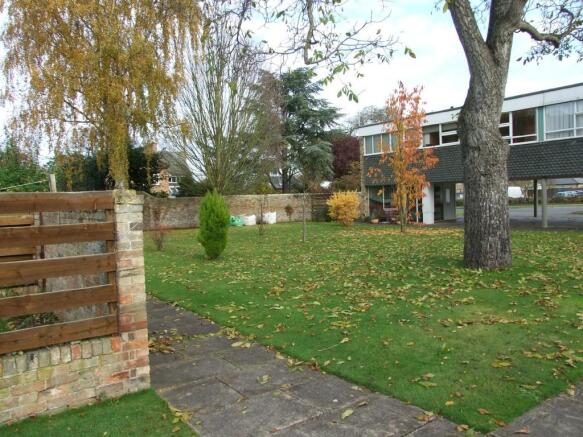 Photo 5