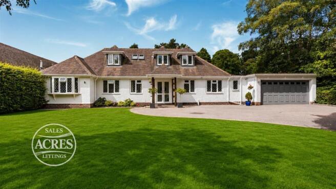 1 new.jpg