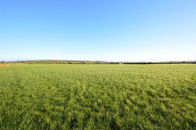 The Land