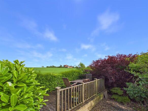 Garden And View