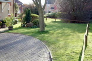 Photo 12