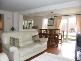Rear Lounge