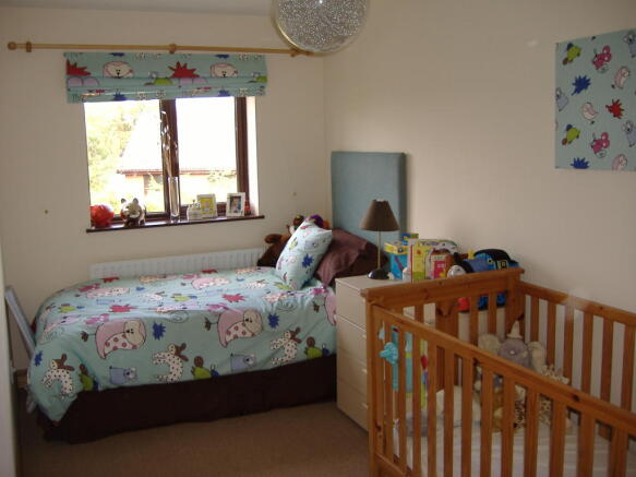 Photo 10