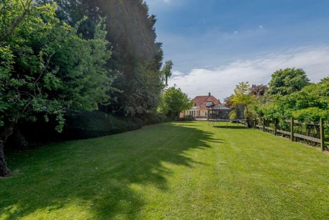 Rear Lawn