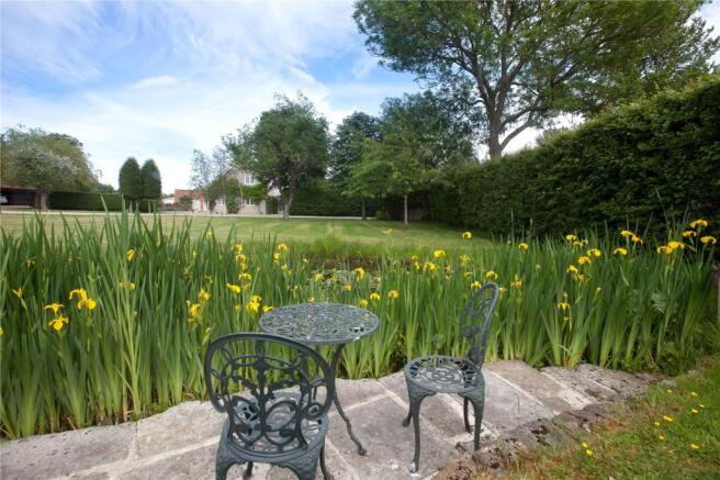 Garden / Pond