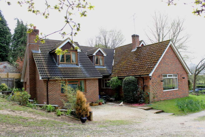 Photo 4