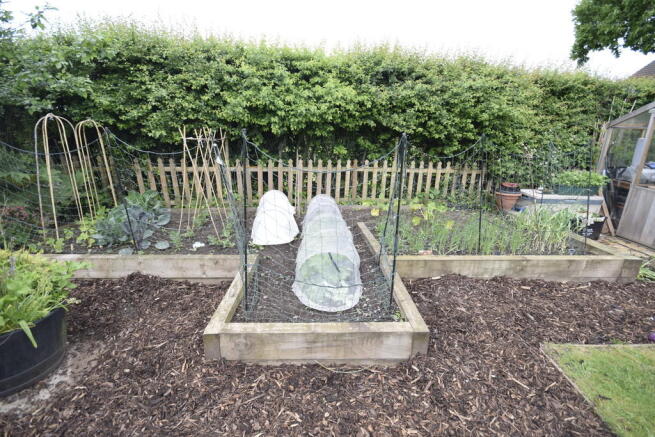 Raised Veg Patch
