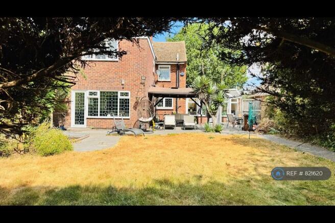 Back Garden