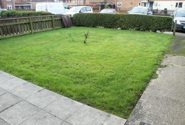 Front Garden