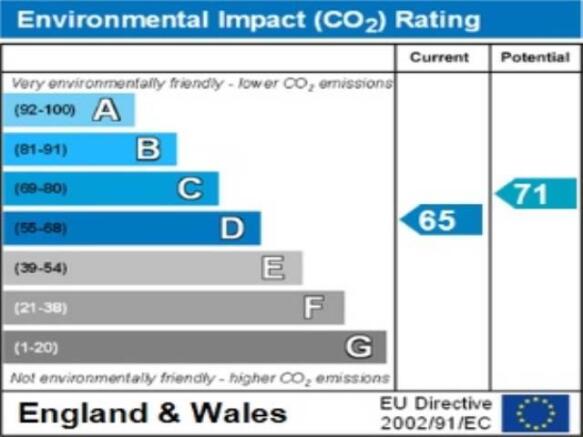 ENVIRONMENTAL IMPACT