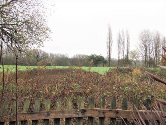 MedlockRd183gdn5.JPG