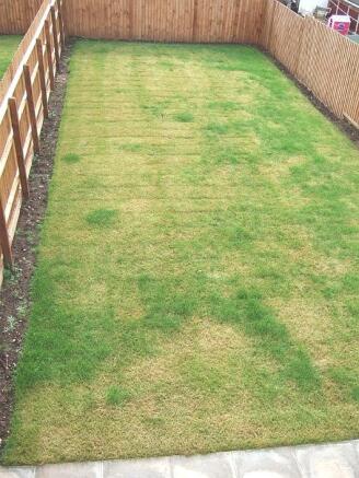 Rear garden