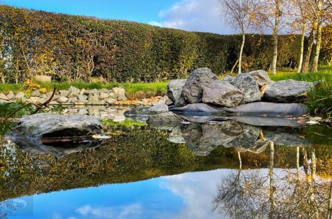 Wildlife Pond