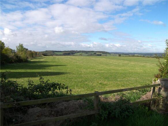 View From Garden