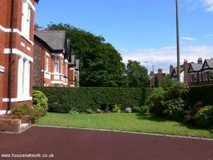 Photo 31