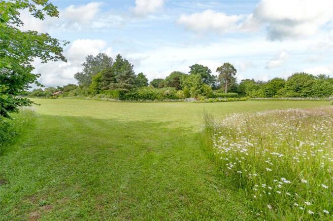 Paddock/Meadow