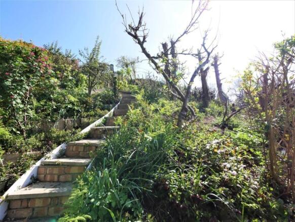 STEPS UP1