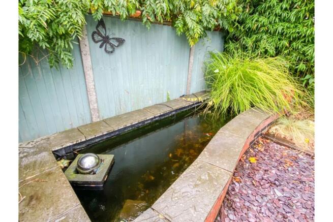 Pond