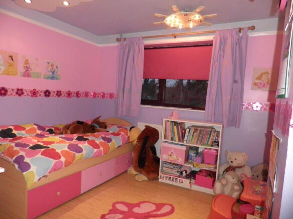 Photo 5