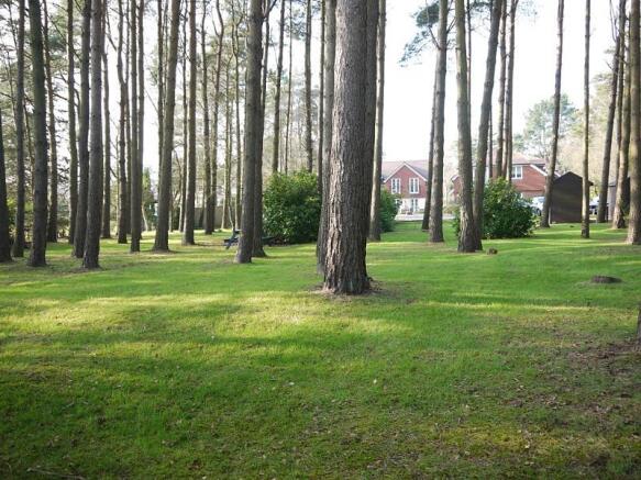 Communal Garden