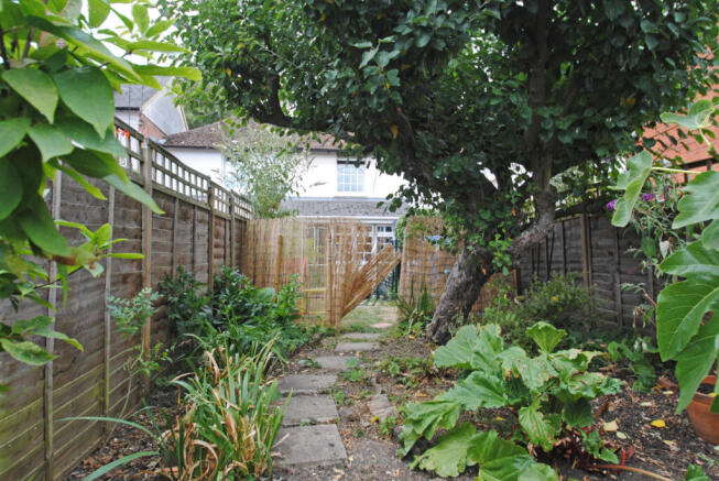 Photo 12