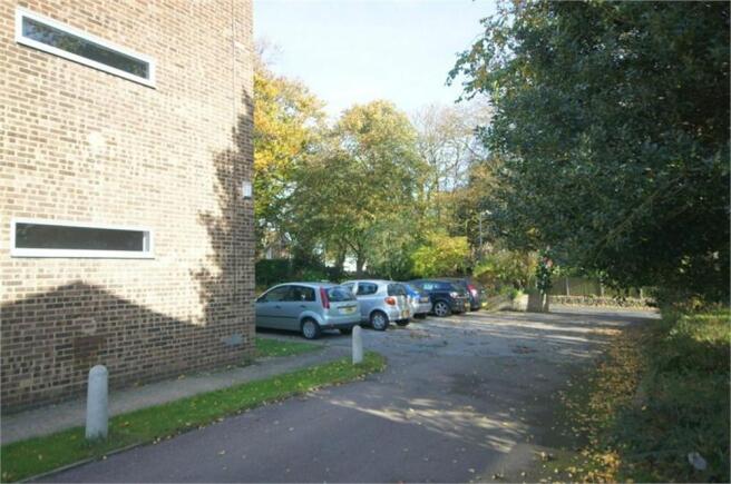 Photo 14