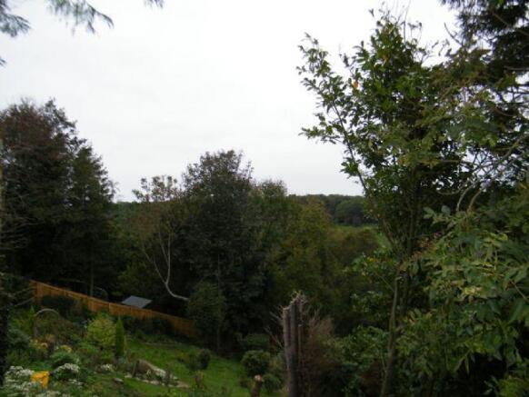 woodland 2