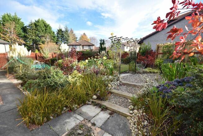 garden 1.JPG