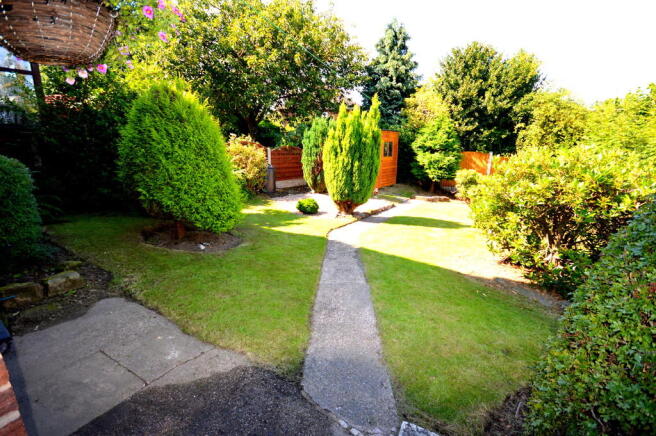 Photo 19