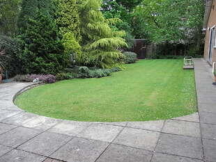 Photo 11