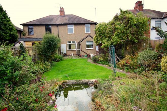 Garden at Back