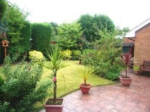 Rear Garden View 2