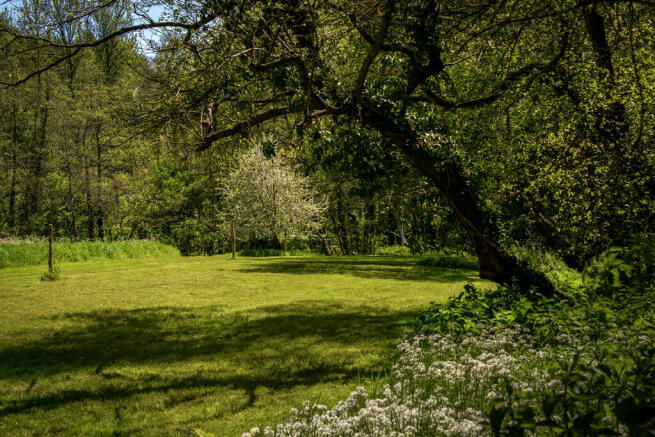 Grounds