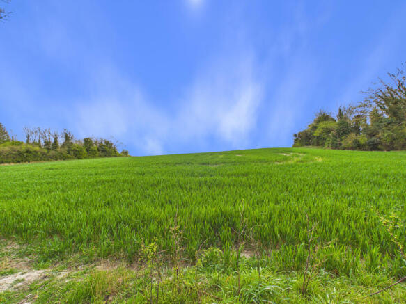 CAM02536G0-PR0088-STILL012