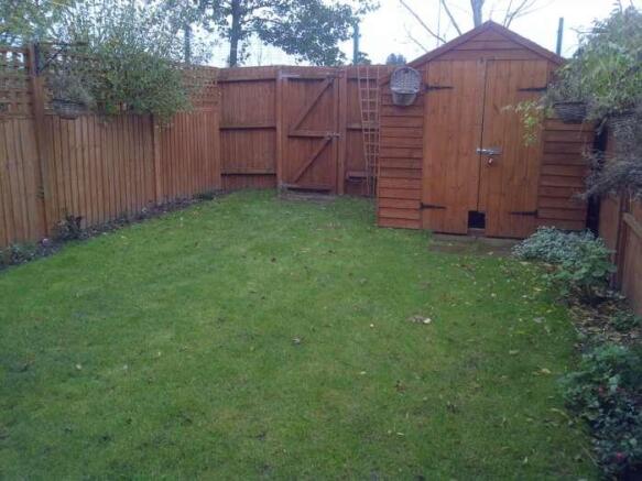 Photo 7
