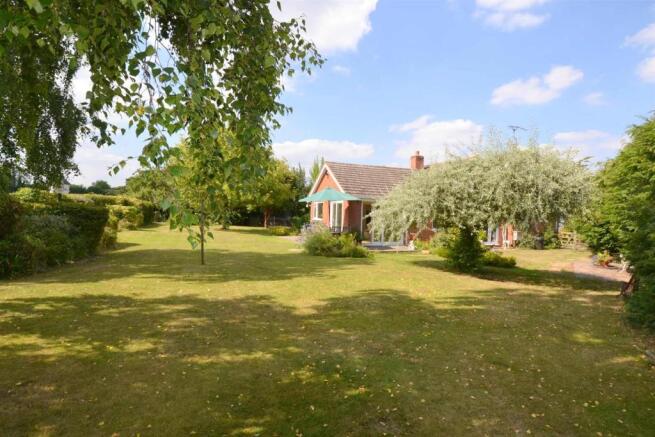 garden4.JPG