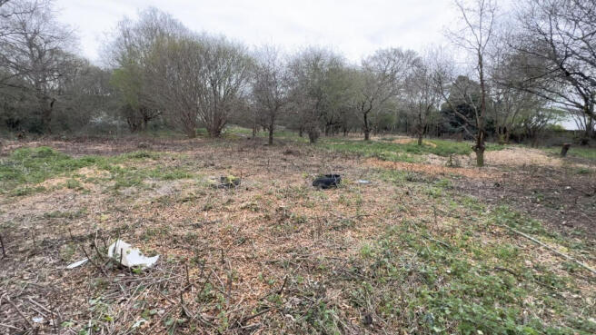 Cleared Land 4