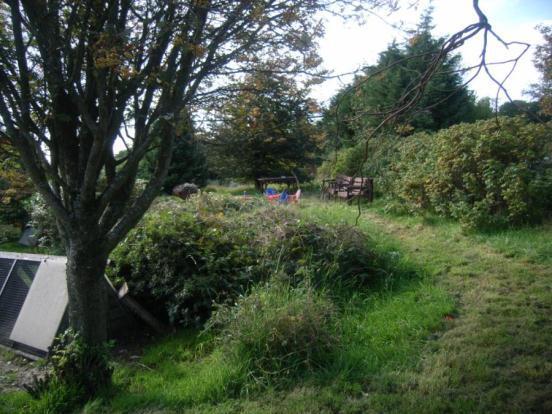 Garden 2