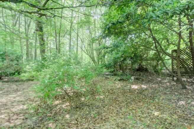 Woodland