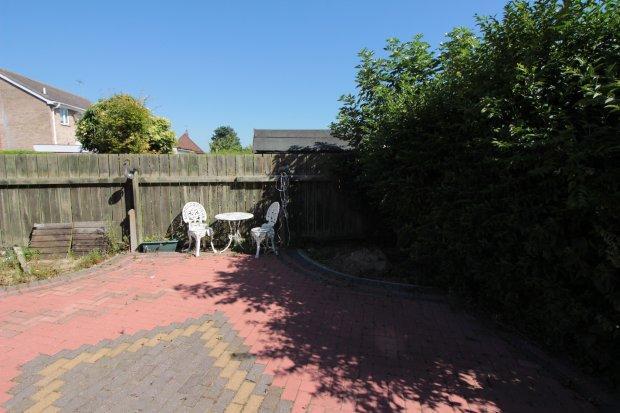 Back Garden 