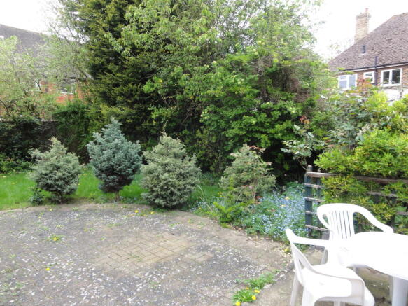 Rear garden