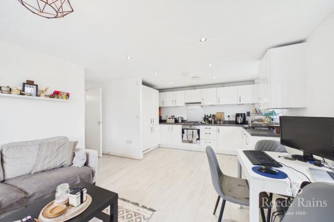 Lounge/Kitchen