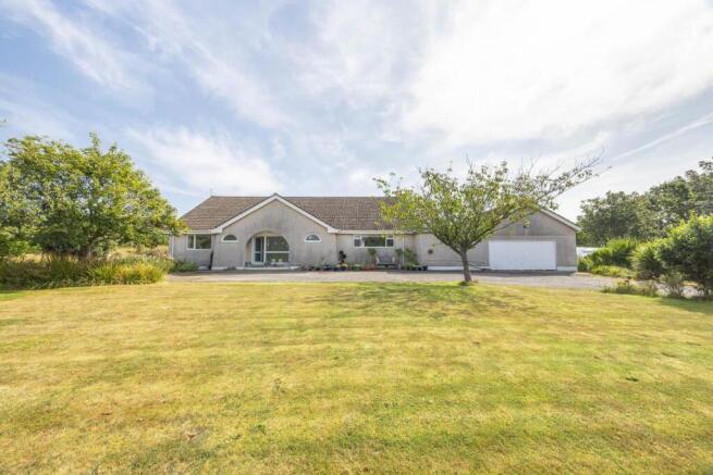 Driftwood, Dogmills (25).jpg