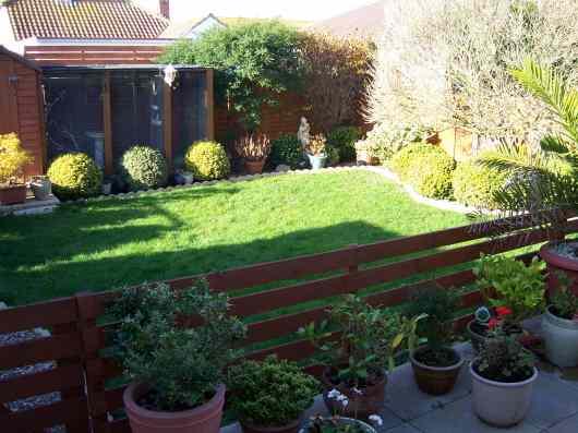 Garden1