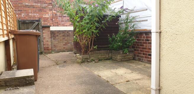 garden.jpeg