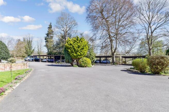 Driveway/Parking