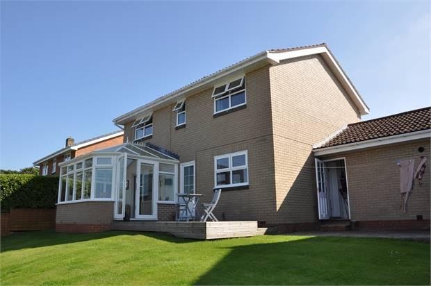 Rear External