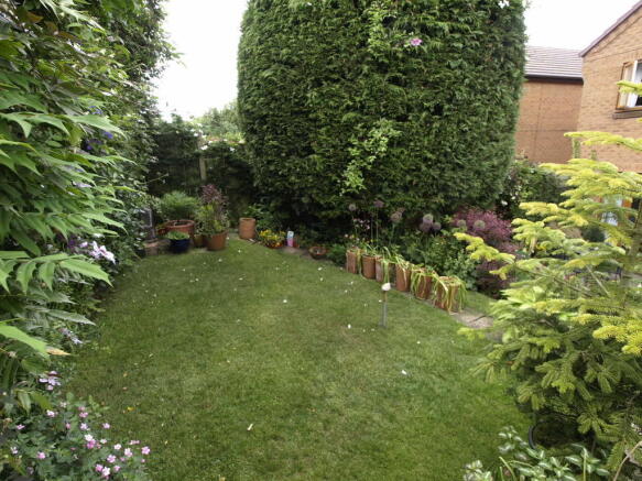 Rear garden 2