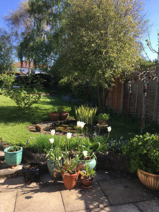 Photo 19